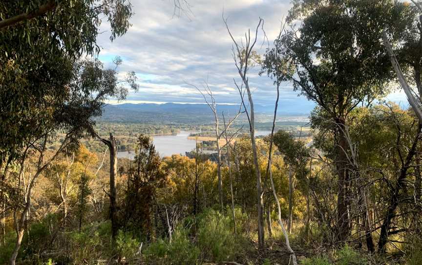 Black Mountain Nature Park, Mitchell, ACT