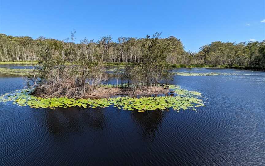 Urunga Wetlands Boardwalk, Urunga, NSW