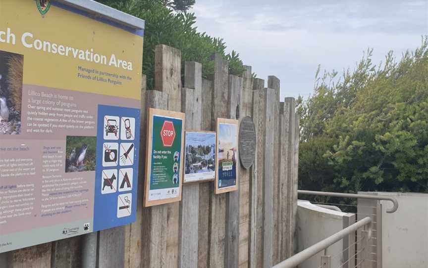 Lillico Beach Conservation Area, Lillico, TAS