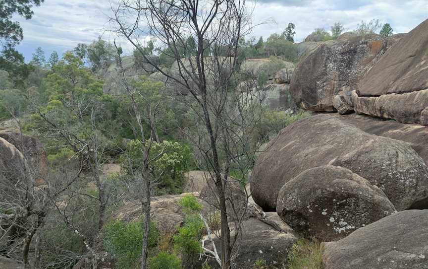 Cranky Rock Nature Reserve, Warialda, NSW