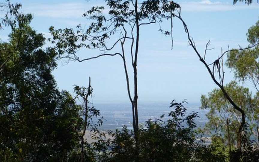 Tree Fern Gully Track, Tremont, VIC