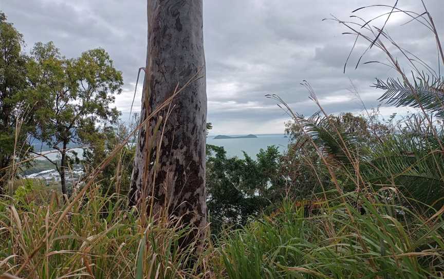 Earl Hill, Trinity Beach, QLD