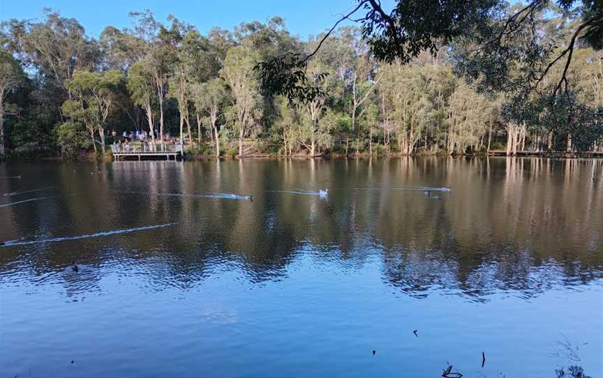 Underwood Park, Priestdale, QLD