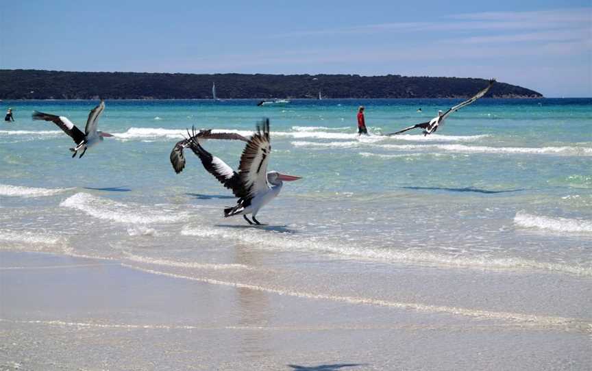 Island Beach, Island Beach, SA