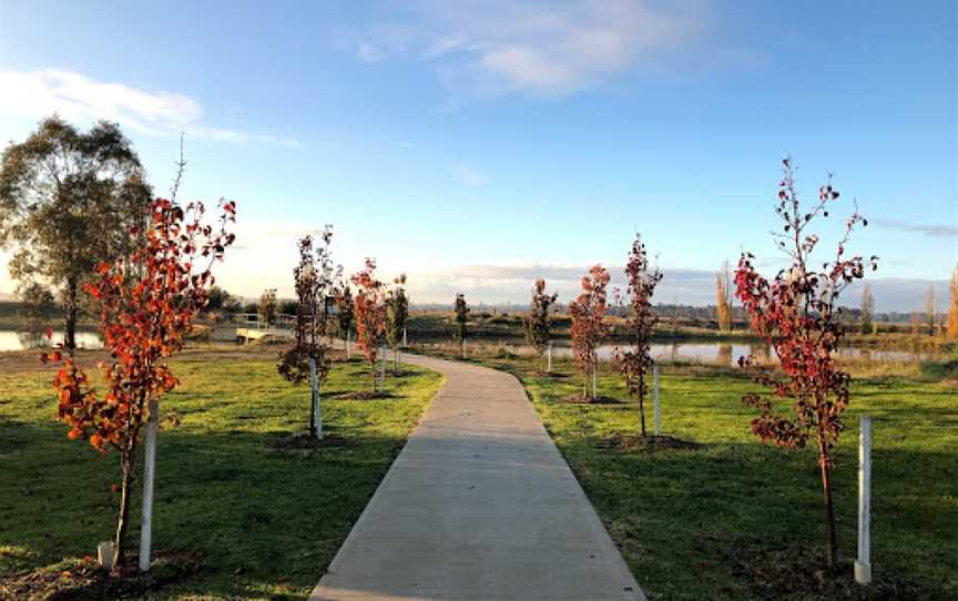 Lake Centenary, Temora, NSW