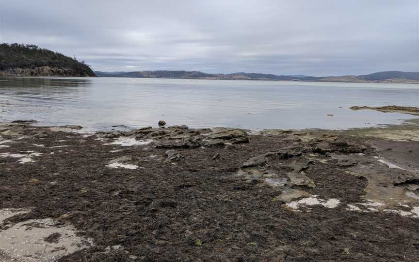 Lime Bay State Reserve, Port Arthur, TAS