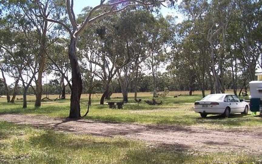 Black Cockatoo Bush Camp Hiking Trails, Naracoorte, SA