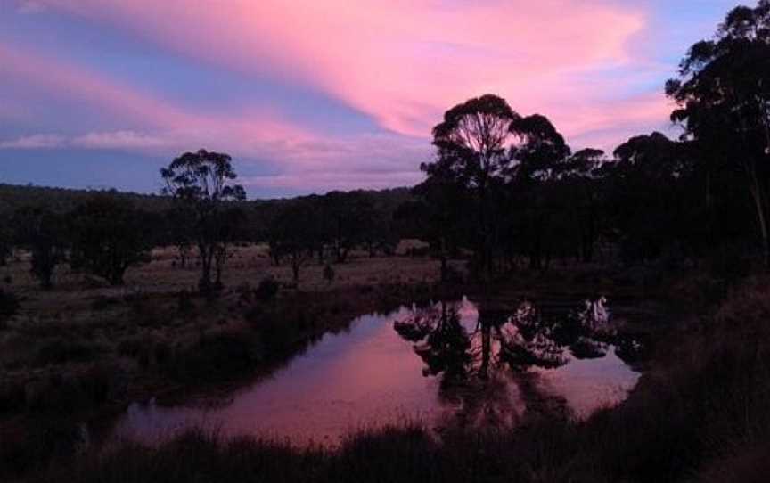 Mountain Ash Trails, Tumbarumba, NSW