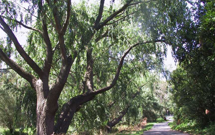 Scotchmans Creek Trail, Glen Waverley, VIC