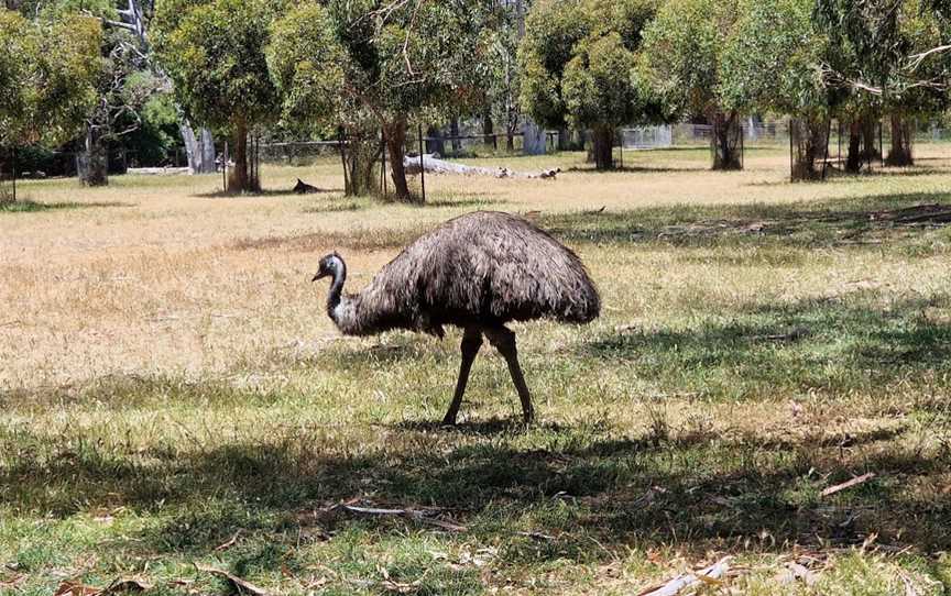 Cleland Conservation Park, Cleland, SA