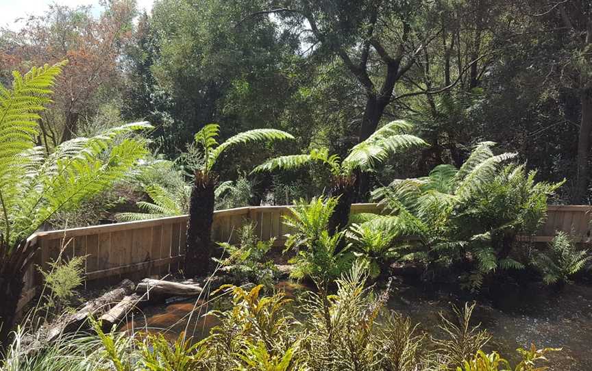 Lobster Ponds, Flowerdale, TAS