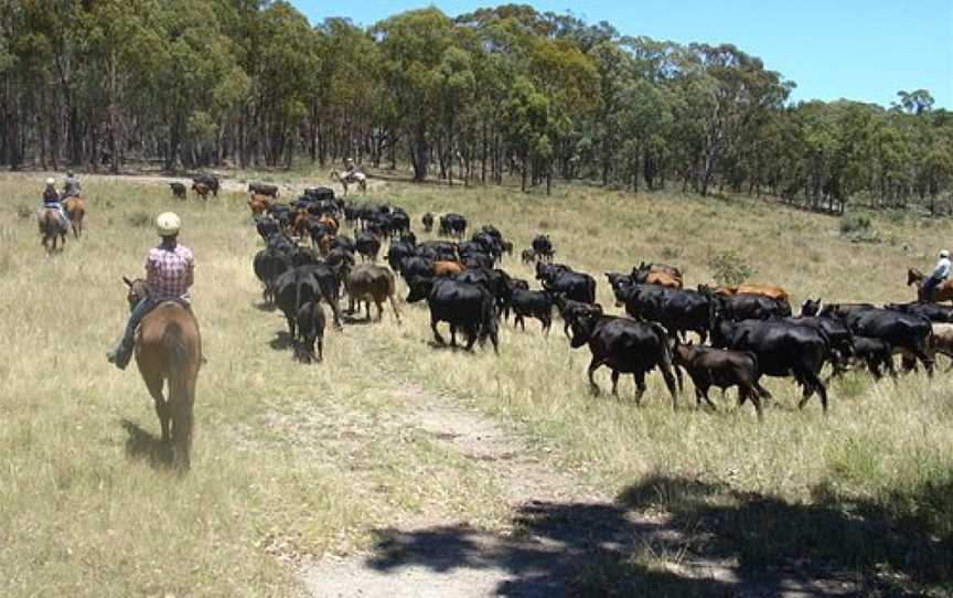 Leconfield, Kootingal, NSW