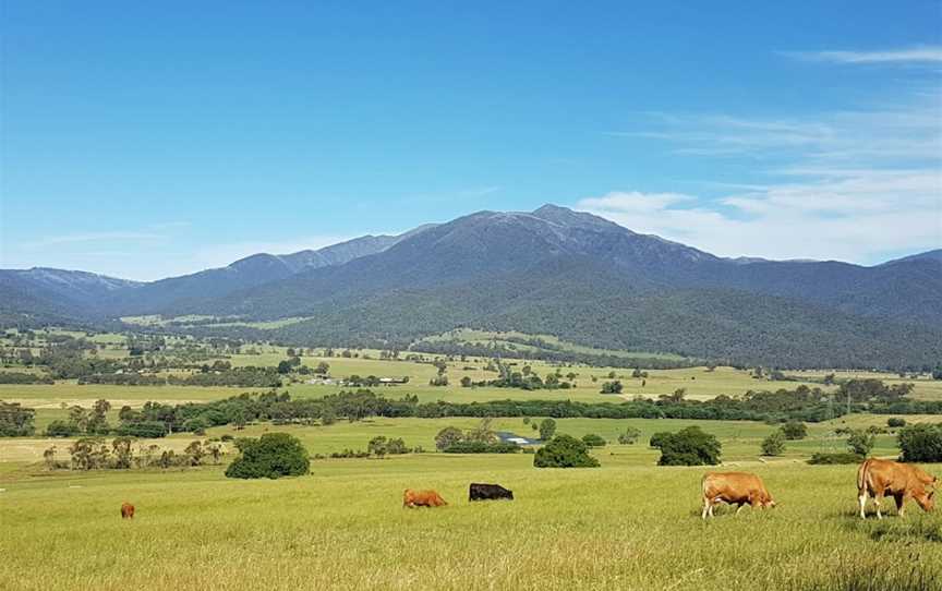 Mount Bogong Lookout, Tawonga South, VIC