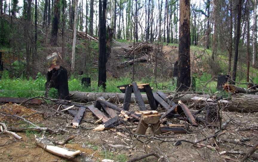 Grand Ridge Rail Trail, Mirboo North, VIC