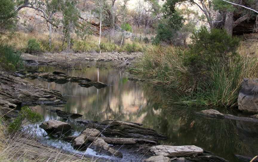 Onkaparinga River National Park, Port Noarlunga, SA