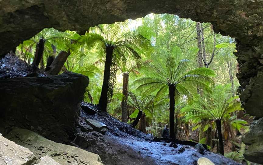 Trowutta Arch, Trowutta, TAS