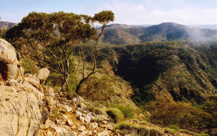 Bendleby Ranges, Orroroo, SA