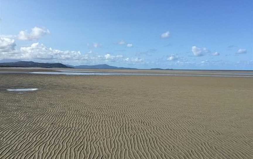 Kuku yalanji cultural heritage beach walk, Cooya Beach, QLD