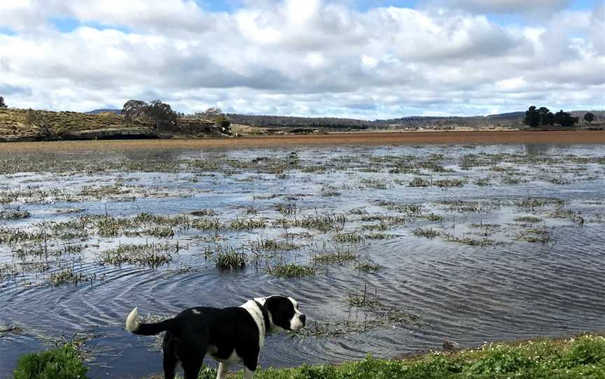 Lake Dulverton, Oatlands, TAS