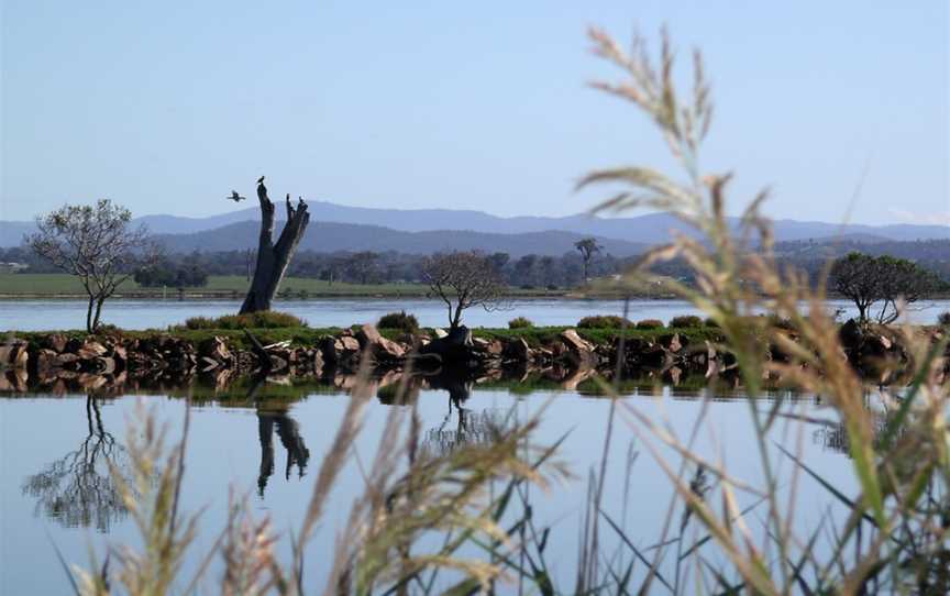 Mitchell River Silt Jetties, Eagle Point, VIC