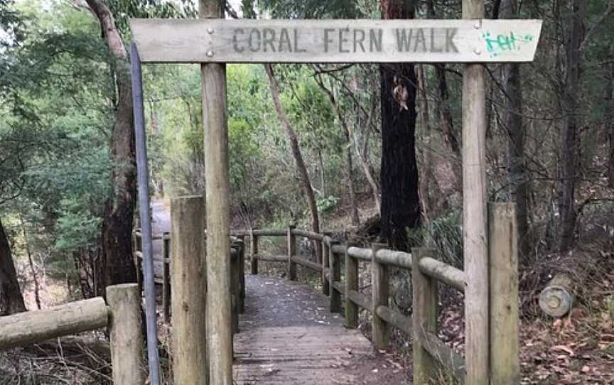 Edward Hunter Bush Reserve, Moe, VIC