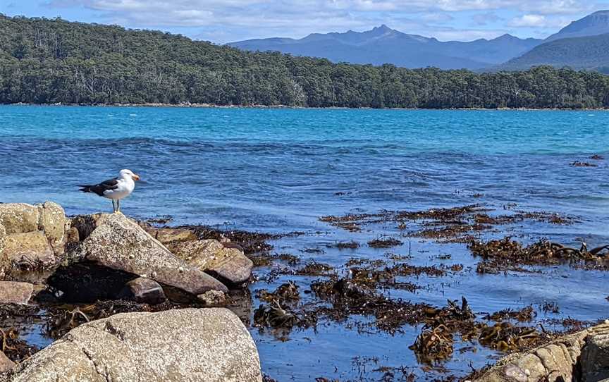 Cockle Creek, Southport, TAS