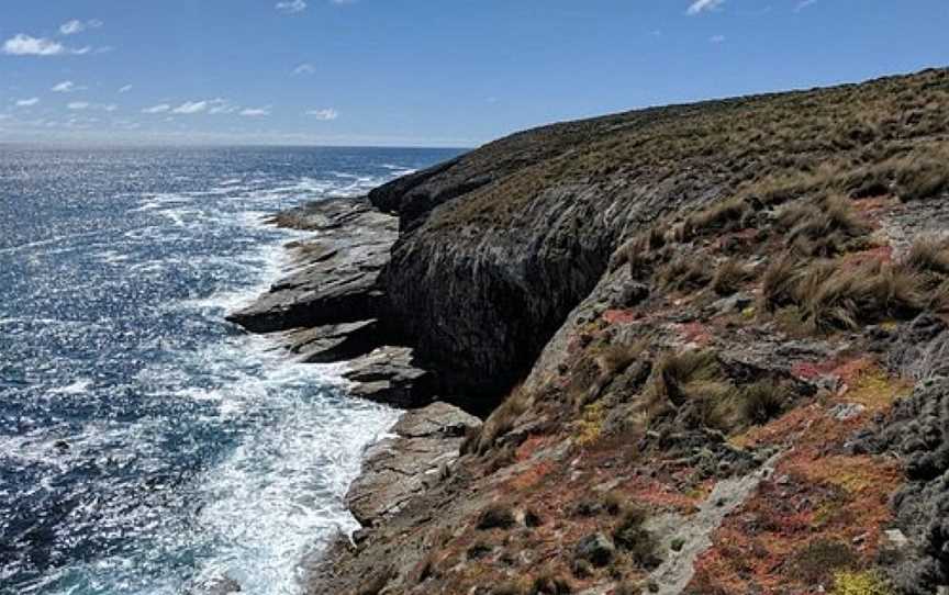 kangaroo island Admiral Arch, Duncan, SA