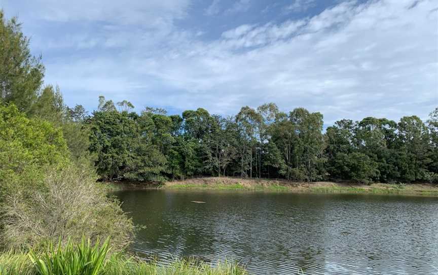 Mungarra Reserve, Petrie, QLD