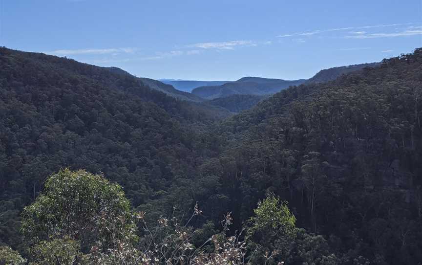 Box Vale Walking Track, Mittagong, NSW