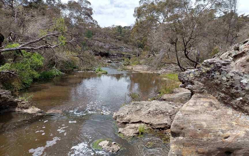 Box Vale Walking Track, Mittagong, NSW