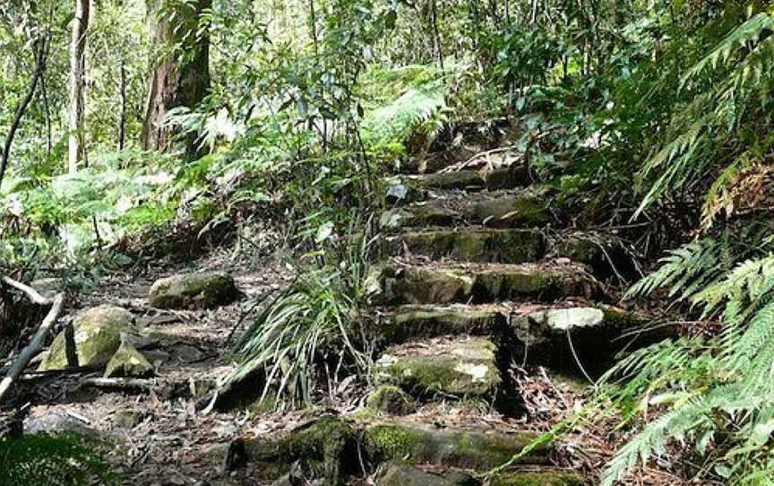 Horseshoe Falls Walk, Blue Mountains National Park, NSW