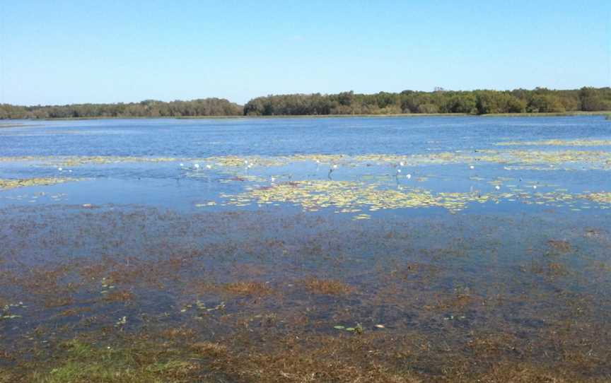 Rinyirru (Lakefield) National Park, Laura, QLD