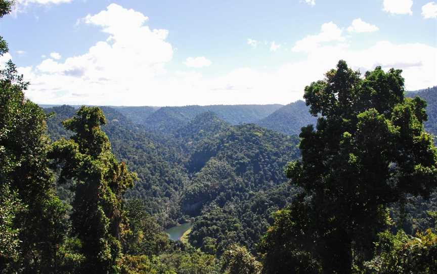 Wooroonooran National Park, Topaz, QLD