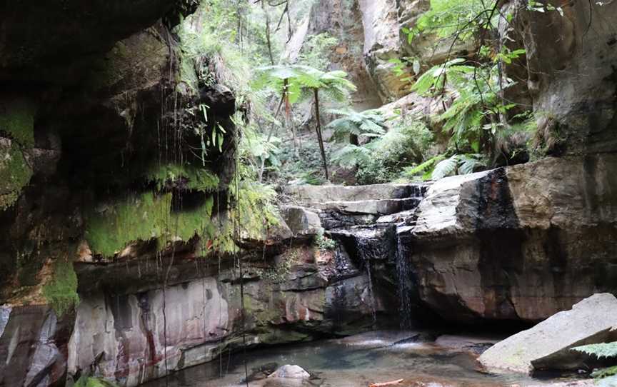 Moss Garden, Carnarvon National Park, QLD