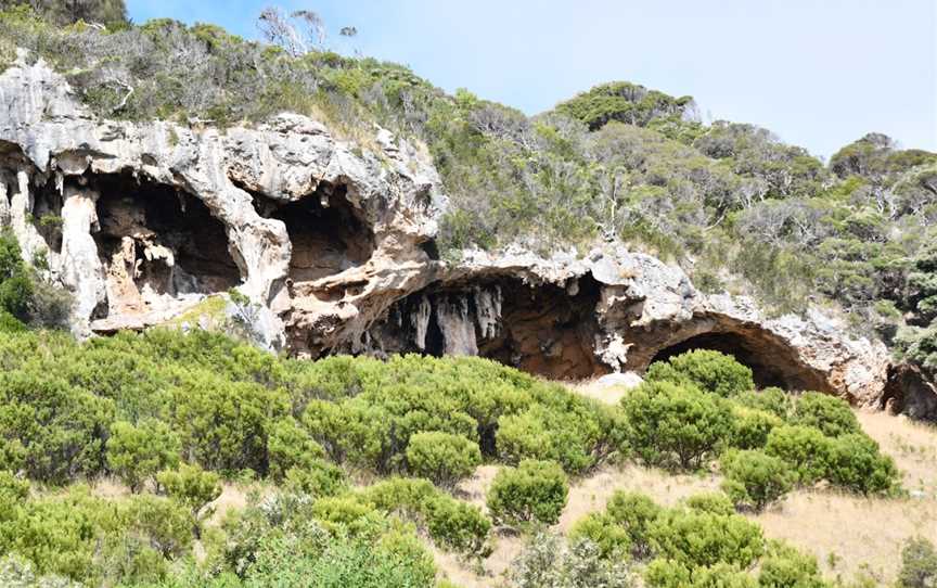 Tarragal Caves, Cape Bridgewater, VIC