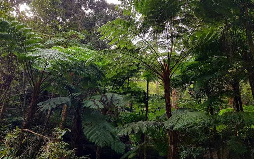 Cooper Park, Bellevue Hill, NSW