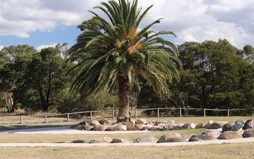 Heritage Forest, Launceston, TAS