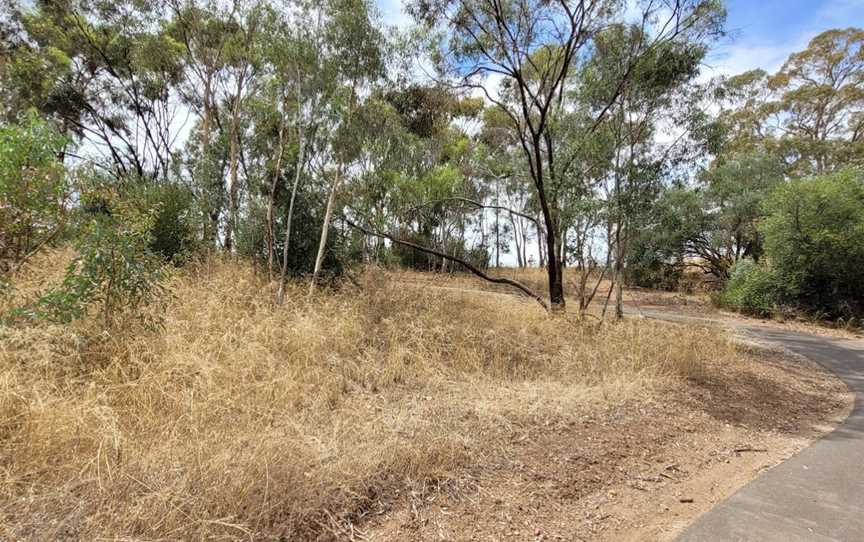 Jack Bobridge Track, Lyndoch, SA