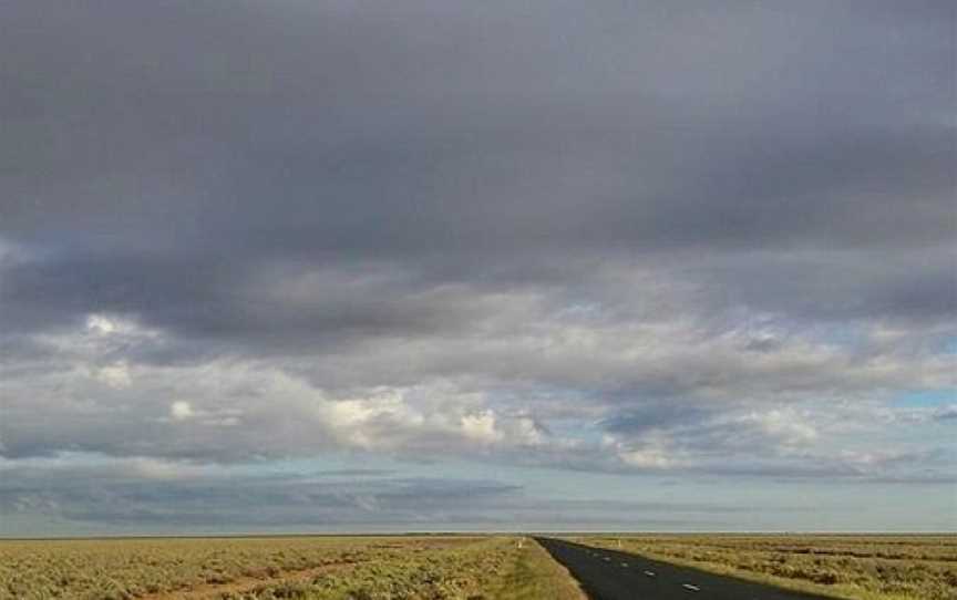 The Long Paddock, Hay, NSW