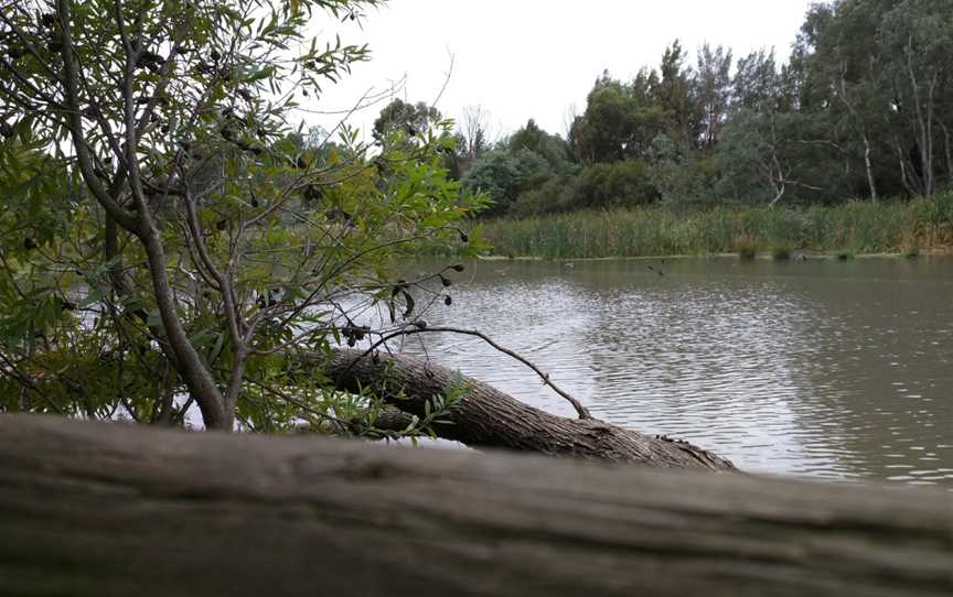 Cussen Park, Tatura, VIC