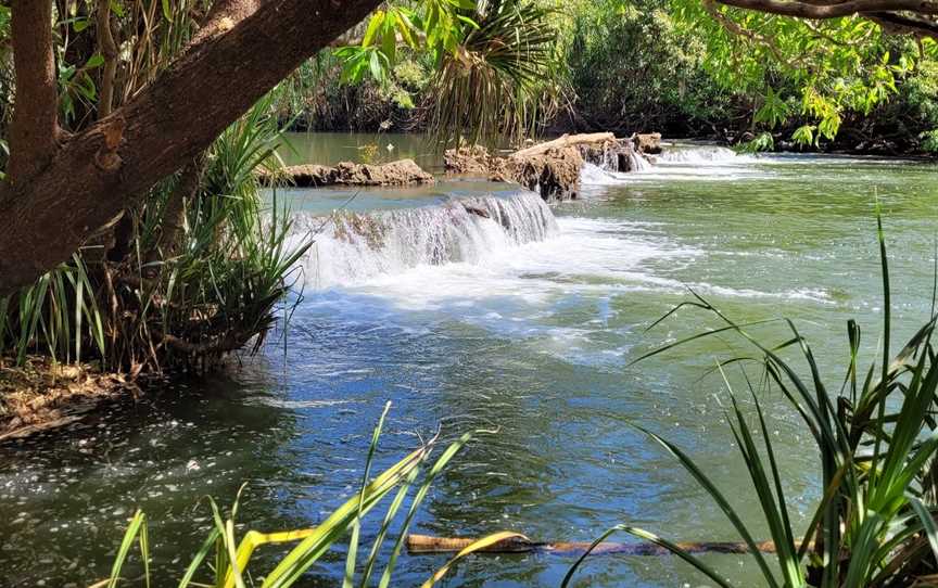 Mataranka Falls, Mataranka, NT