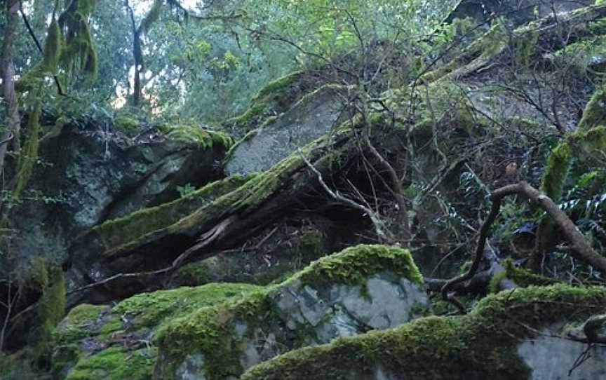 Mitchell River Walking Track, Iguana Creek, VIC