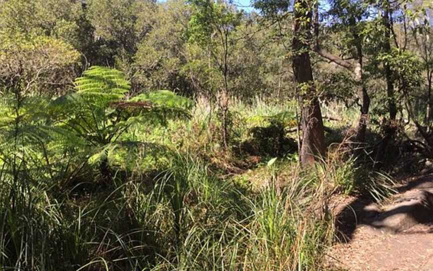 Tambourine Bay Reserve and Warraroon Reserve Walk, Sydney, NSW