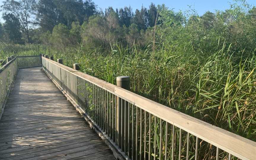 Warriewood Wetlands, Warriewood, NSW