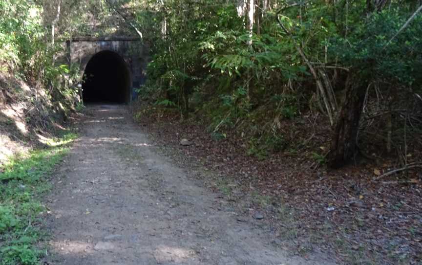 Dularcha National Park, Landsborough, QLD