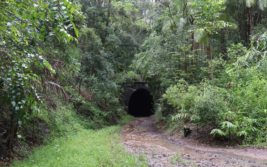 Dularcha National Park, Landsborough, QLD