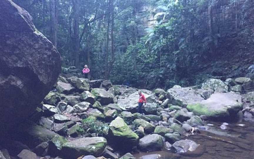 Gap Creek Falls Trail, Martinsville, NSW