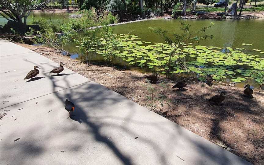 Reg Tanna Park, Gladstone, QLD