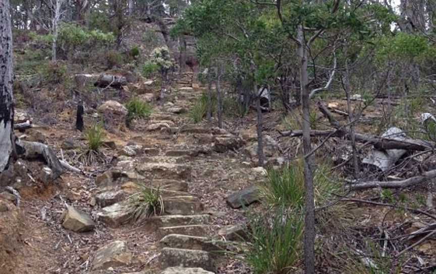 The Pipeline Track, Hobart, TAS