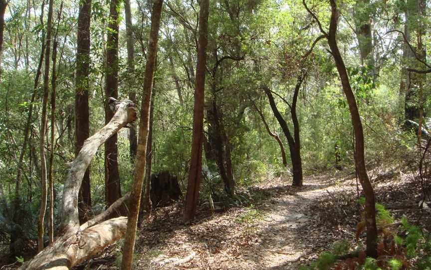 Fraser Island Great Walk, K'gari, QLD